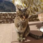 309162840_637992871140153_605294369513087249_n