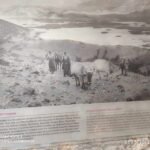 368627158_1817879691999624_1737311290447147858_n