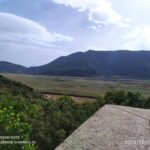 370165619_754058613140202_3205649278313023838_n