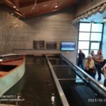 370249929_330714742886724_7730446411525436844_n